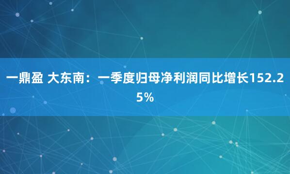 一鼎盈 大东南：一季度归母净利润同比增长152.25%